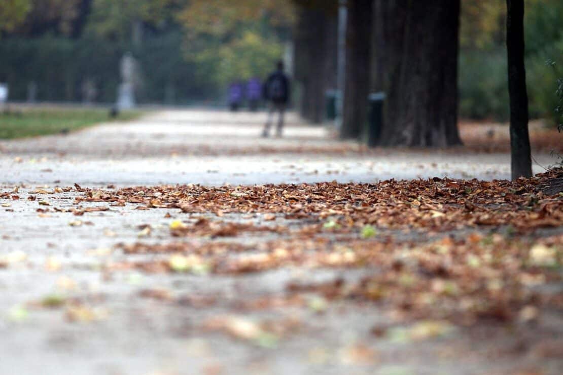 Wetterbericht für Sachsen-Anhalt (11.10.2025)