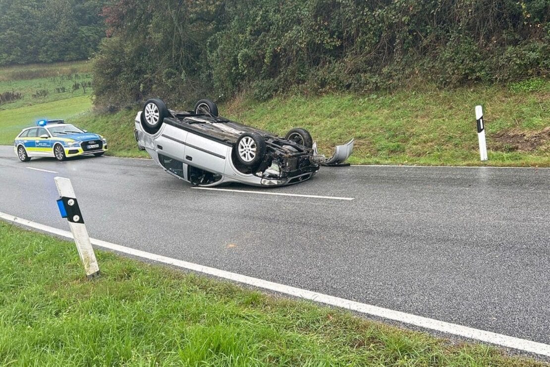 Wildunfall bei Dörrmoschel endet mit Totalschaden
