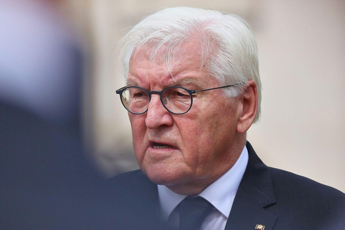 AfD kritisiert Steinmeier nach Aussagen zu möglichem Parteiverbot