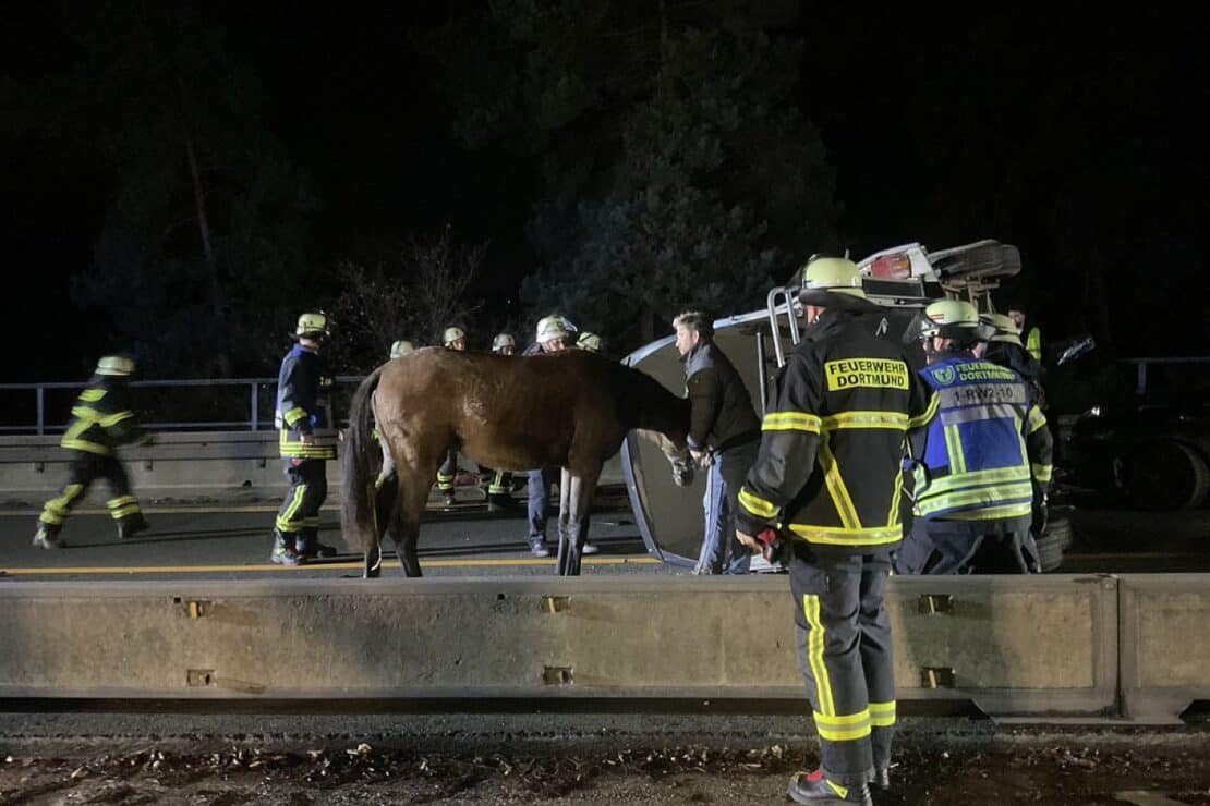 Auffahrunfall mit Pferdeanhänger auf Dortmunder Autobahn