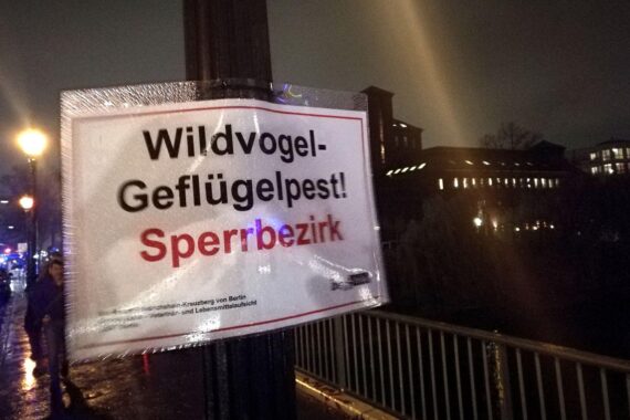 Warnschild zur Geflügelpest in Wolfsburg: Schutzmaßnahmen gegen Ansteckung, Wildvögel in der Nähe.