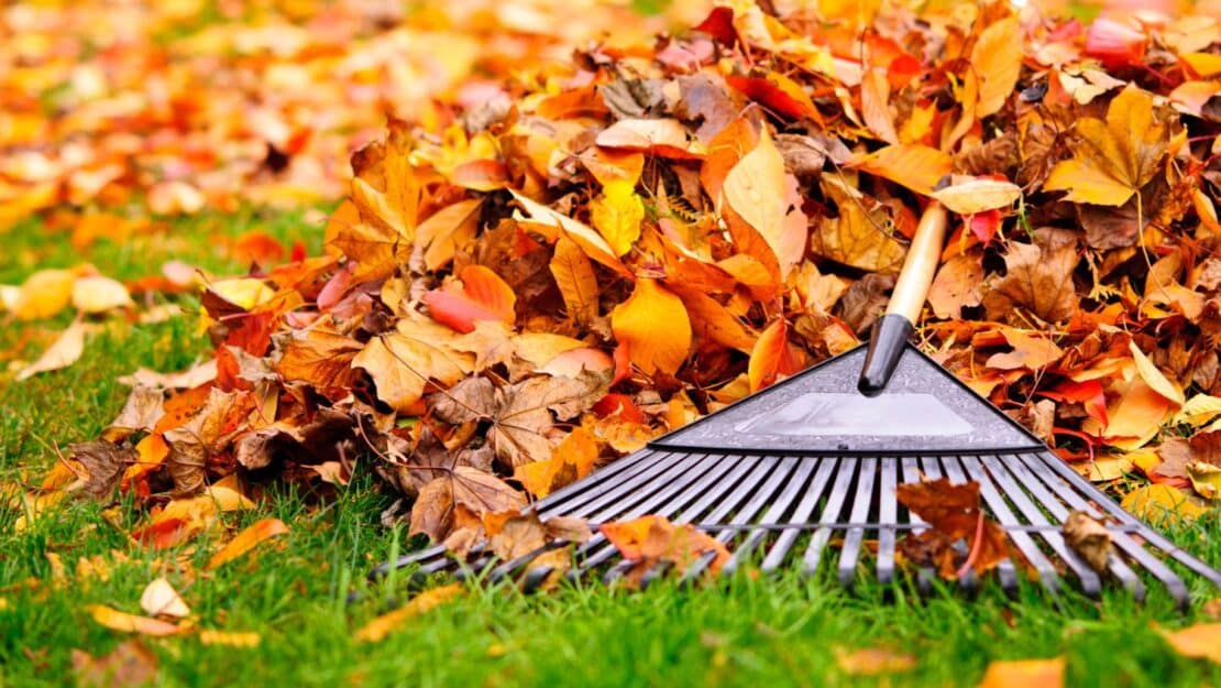 Gartenpflege im Herbst – was ist zu tun?