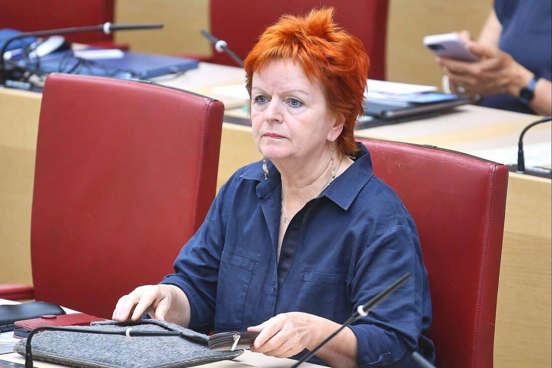 Grünen-Politikerin fordert Konsequenzen nach Stellenabbau bei MAN und KUKA