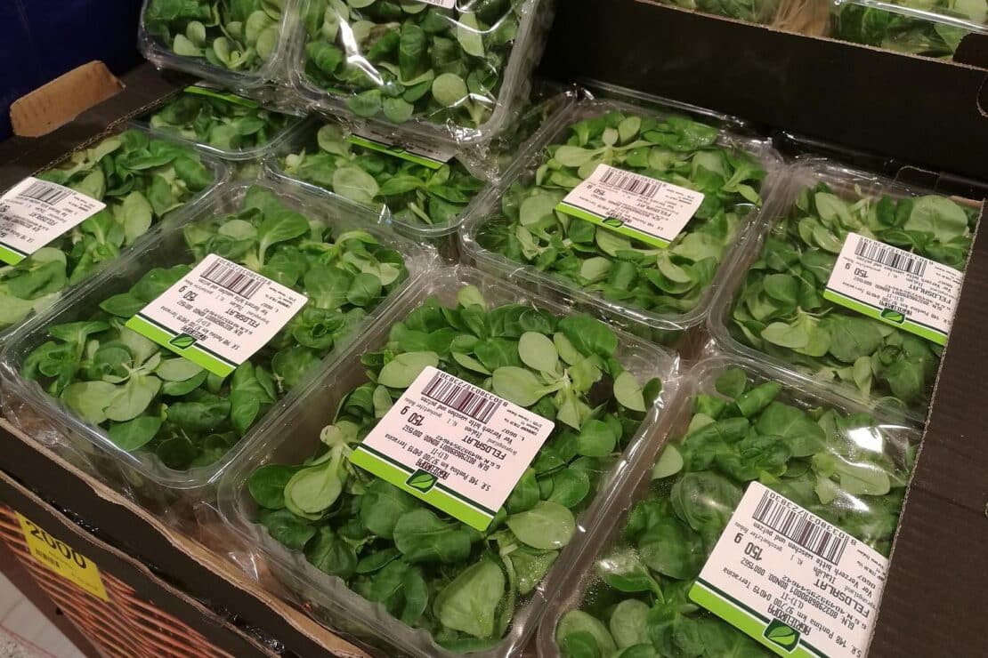 Kaiserslautern führt keine Verpackungssteuer ein