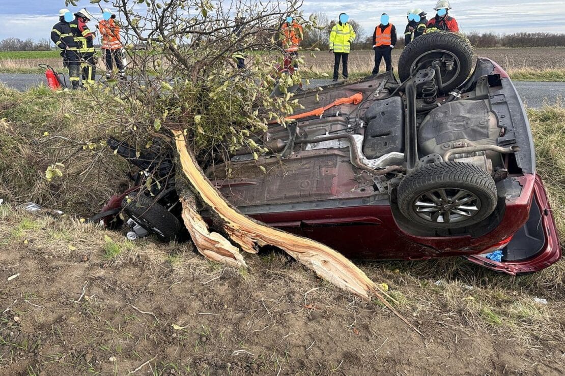 Schwerer Baumunfall bei Dingelbe verursacht Totalschaden