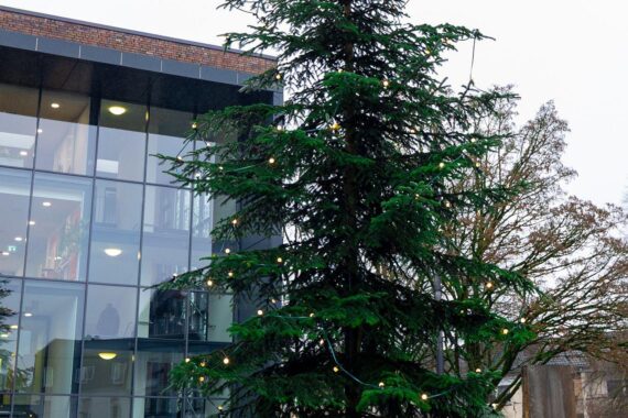 Weihnachtsbaum am Rathaus in Solingen, geschmückt mit Lichtern, stimmungsvolles Ambiente zur Weihnachtszeit.