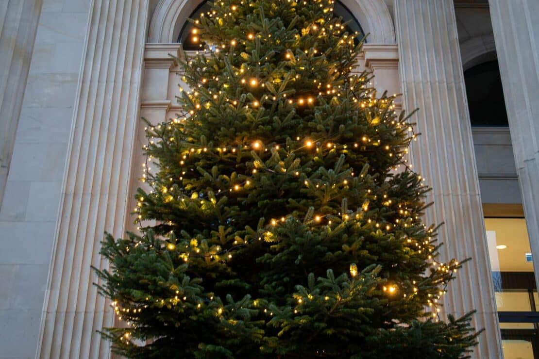 Weihnachtsbaum und Adventskranz schmücken Landtag in Hannover