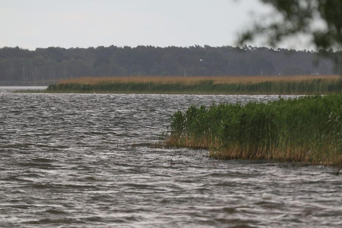Wetterbericht für Mecklenburg-Vorpommern (10.11.2025)