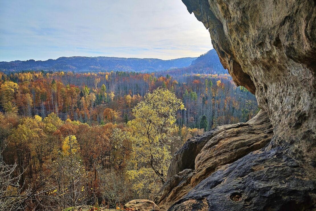 Wetterbericht für Sachsen (07.11.2025)