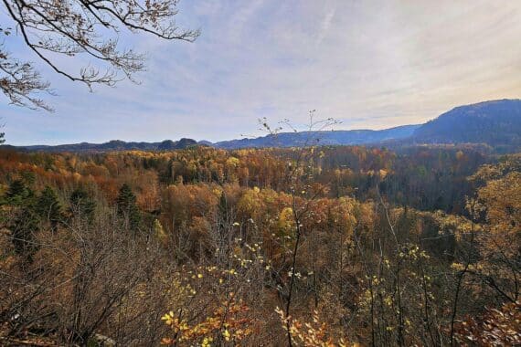 Herbstliche Landschaft der Sächsischen Schweiz mit Nebel und mildem Wetter.