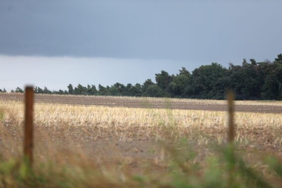 Dunkle Wolken, Regen, kühle Temperaturen; wechselhaftes Wetter in Sachsen-Anhalt angekündigt.