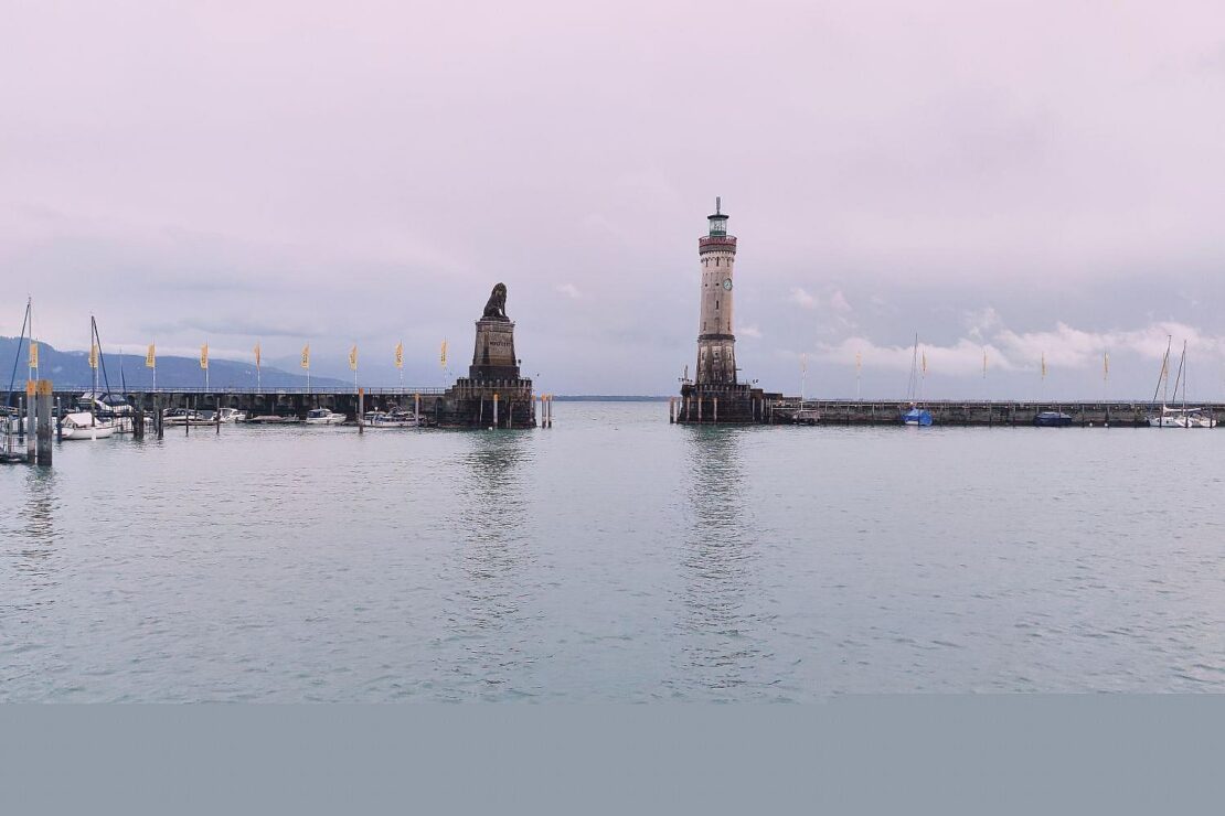 900.000 Euro für länderübergreifenden Fischschutz am Bodensee