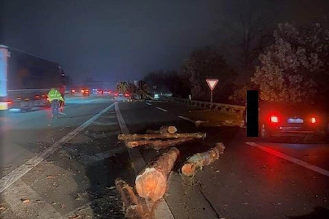 Baumstämme blockieren A1 bei Seevetal nach Unfall