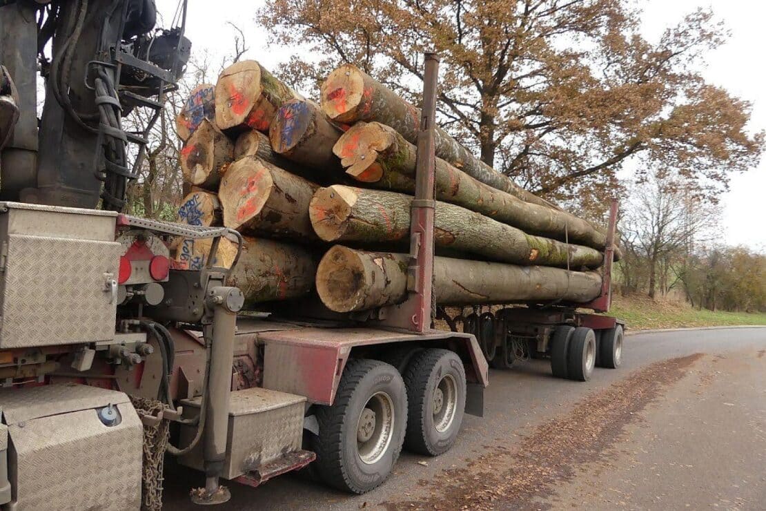 Fast zehn Tonnen zu schwerer Holztransport auf A4 bei Kirchheim gestoppt