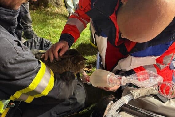 Feuerwehr rettet Katze aus brennendem Wohnhaus während Einsatz in Wipperfürth.