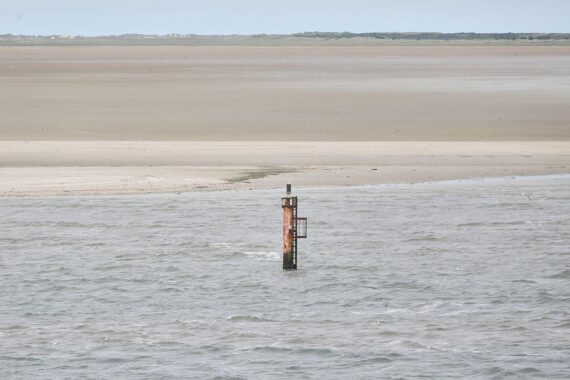 Dalben im Wattenmeer, symbolisieren den Schutz der Natur vor Gasförderung und Klimawandel.