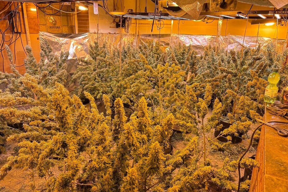 Polizei entdeckt große Cannabisplantage in ehemaliger Gaststätte in Welver