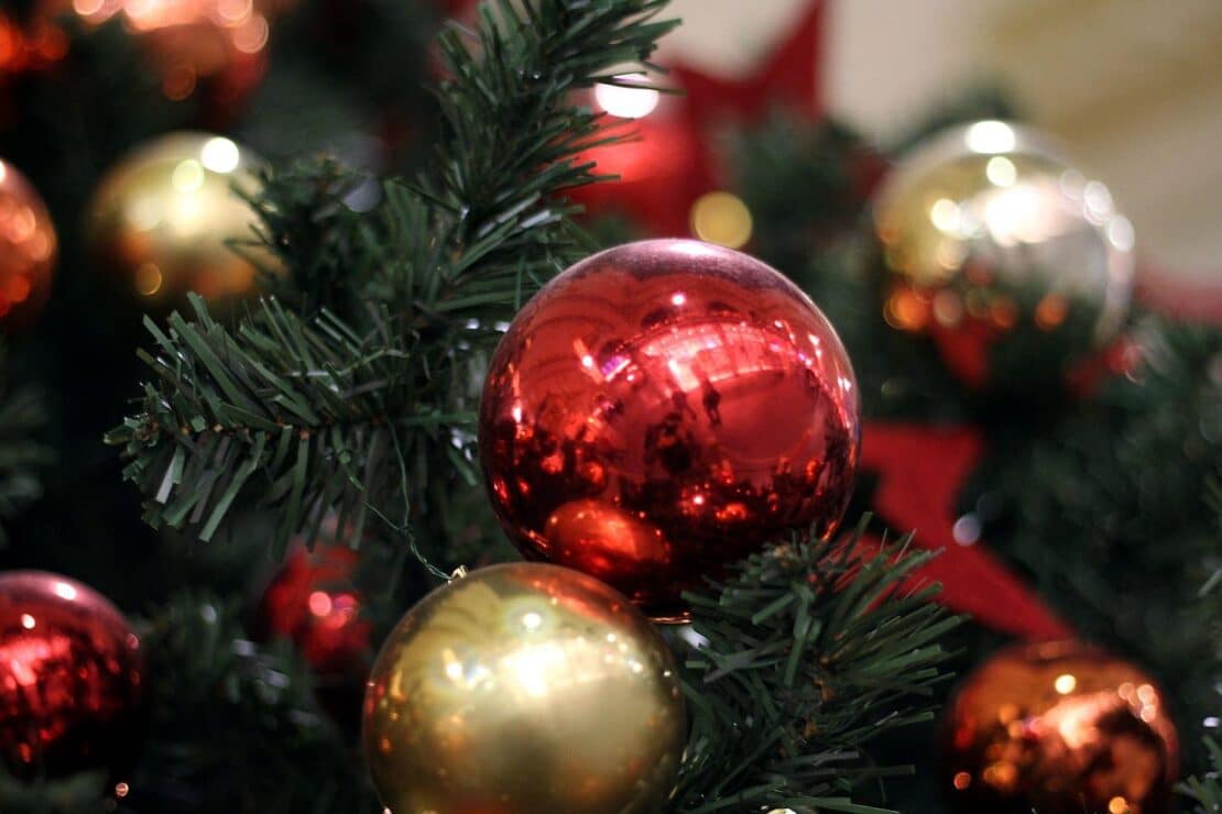 Weihnachtsbaumdiebe in Heidelberg gefasst