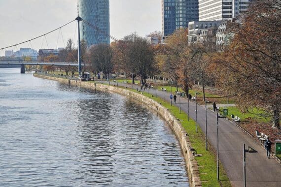 Graue Parkanlage in Frankfurt am Main, mildes Wetter, bewölkt, eventuell leichter Regen.