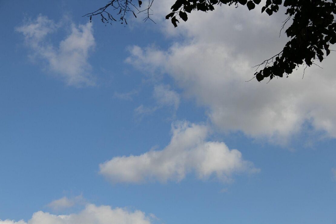 Wetterbericht für Sachsen-Anhalt (02.12.2025)