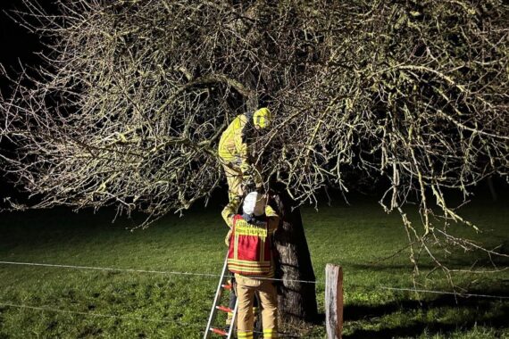 Brennender Baum, Feuerwehr im Einsatz, nächtliche Szene, schnelle Löscharbeiten, Wärmebildkamera zur Unterstützung.