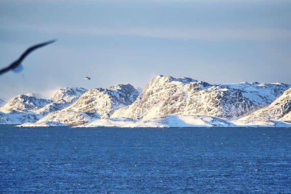 Grönlands Landschaft mit Hinblick auf geopolitische Spannungen und internationale Zusammenarbeit.