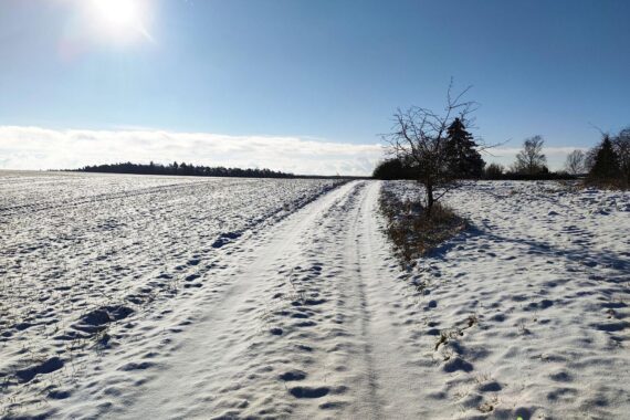 Winterlandschaft mit Schnee, frostigen Temperaturen und aufkommenden Wolken über Baden-Württemberg.