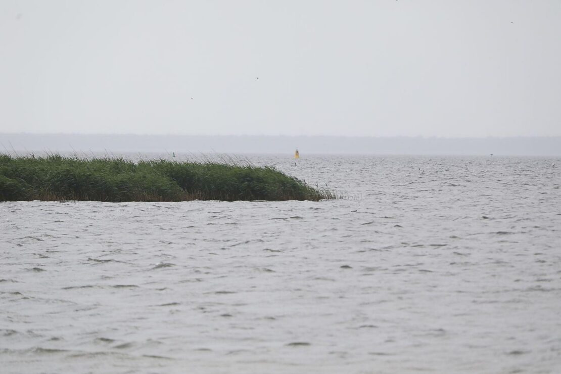 Wetterbericht für Mecklenburg-Vorpommern (05.01.2026)