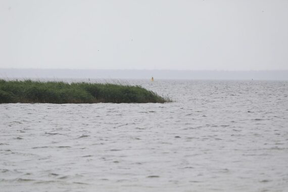 Winterliches Wetter mit Schnee, tiefen Temperaturen und stark bewölktem Himmel im Stettiner Haff.