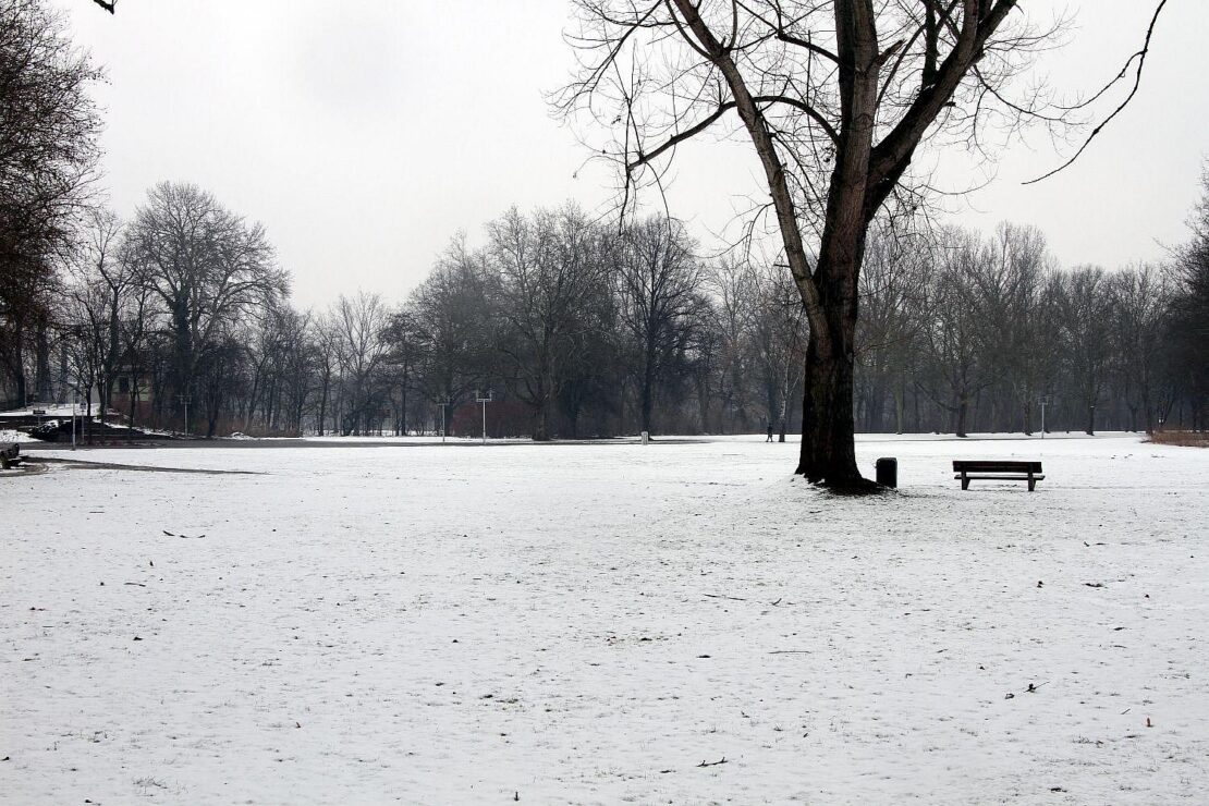 Wetterbericht für Niedersachsen/Bremen (12.01.2026)