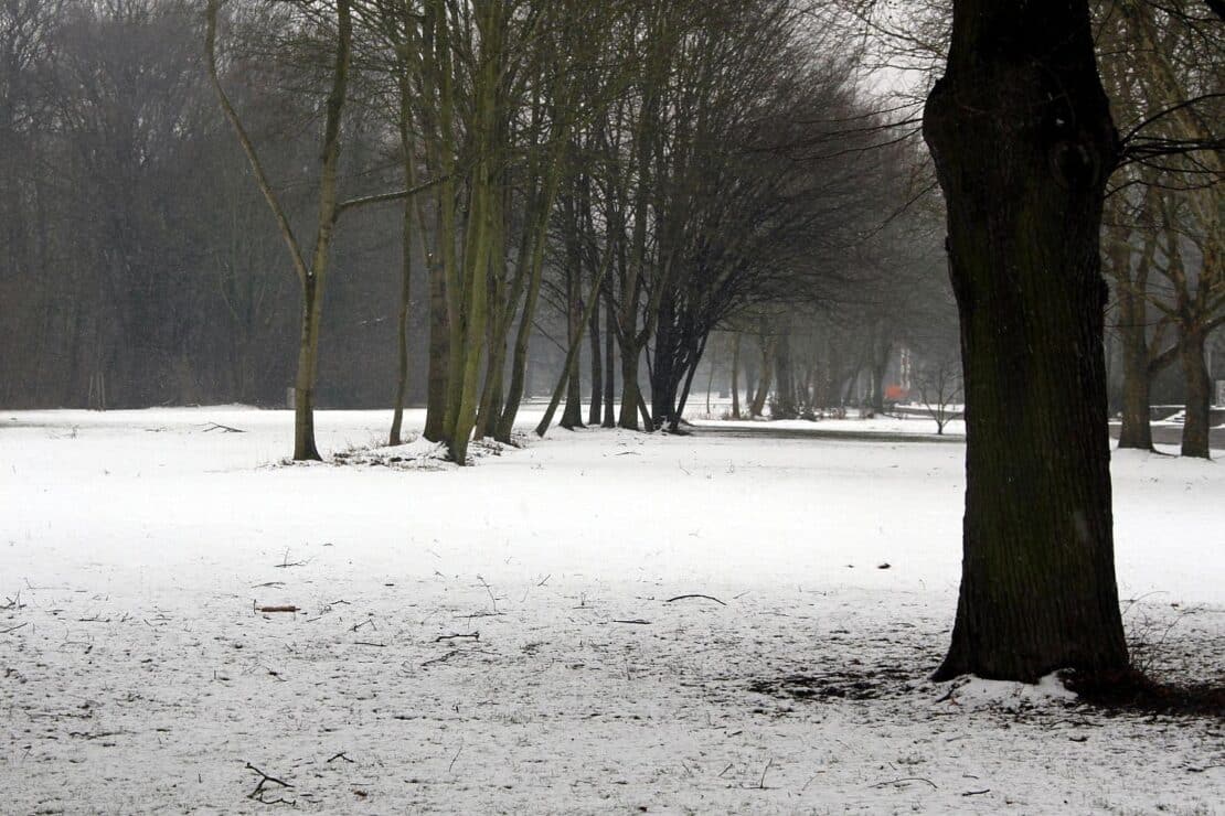 Wetterbericht für Rheinland-Pfalz/Saarland (09.01.2026)