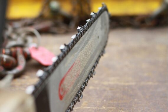 Motorsäge vor einem Baum, symbolisiert Baumfällungen für den Donauuferweg in Neu-Ulm.