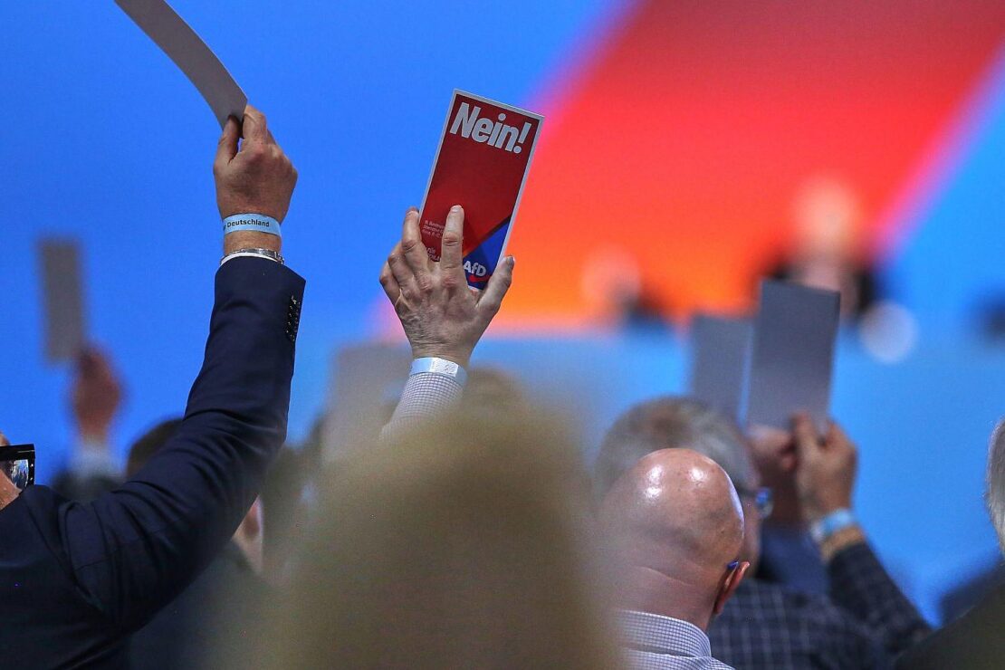 Bericht: AfD-Mitglieder fordern Sonderparteitag in Sachsen-Anhalt