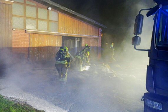 Pferdestallbrand in Paderborn: Feuerwehr rettet fünf Pferde, Unglück durch Rauchgasvergiftung bei Eigentümern.