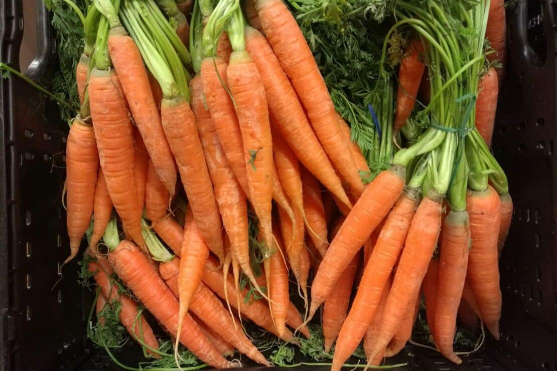 Gemüseernte steigt 2025 auf neuen Höchststand