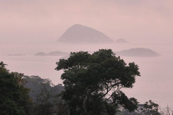 Cagarras-Inseln mit üppiger Vegetation, Symbol für bedrohte Biodiversität und Naturerhaltung.