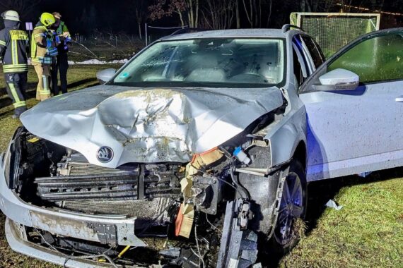PKW kollidiert mit Baum, Feuerwehr sorgt für Sicherheit und beseitigt umgestürzten Baum.