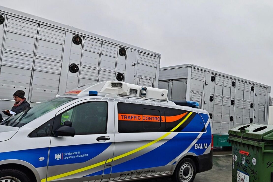 Polizei stellt bei Tiertransport-Kontrollen auf A2 und A7 17 Verstöße fest