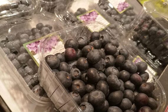 Frische Heidelbeeren in einer Schüssel, symbolisieren steigende Ernte und gesunde Ernährung in Deutschland.