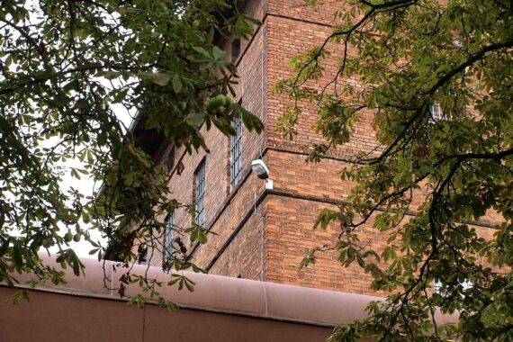 Eine Frau wird ins Gefängnis gebracht, nachdem sie einen Mordversuch begangen hat.