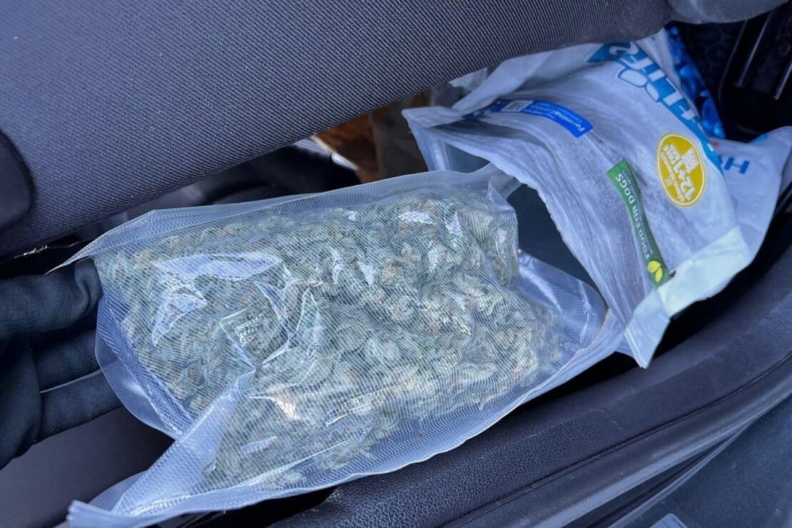 Zoll findet 100 Gramm Marihuana in Hundefutterverpackung bei Grenzkontrolle