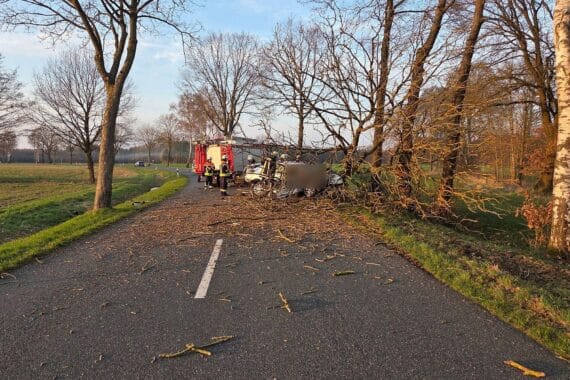 Verkehrsunfall mit tödlichem Ausgang, beschädigtes Auto, umgestürzter Baum, Rettungskräfte vor Ort.