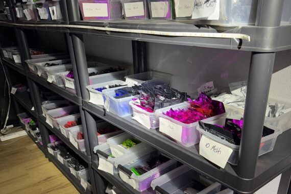 Drogenfund: Ermittler präsentieren beschlagnahmte Betäubungsmittel der Drogenbande aus dem Darknet.