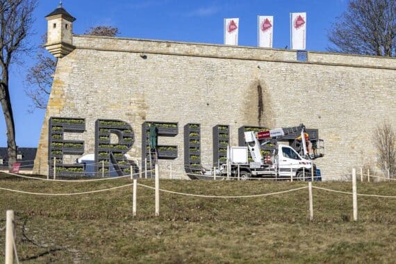 Bunt bepflanzter Erfurt-Schriftzug mit gelben und weißen Violen im Frühlingslicht.