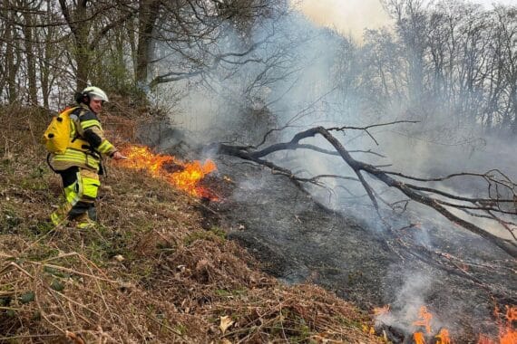 Feuerwehr im Einsatz: Löschen eines Waldbrandes in steilem, schwer zugänglichem Gelände.