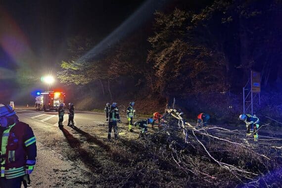 Feuerwehr entfernt umgestürzten Baum von Straße nach Sturm in Schermbeck.