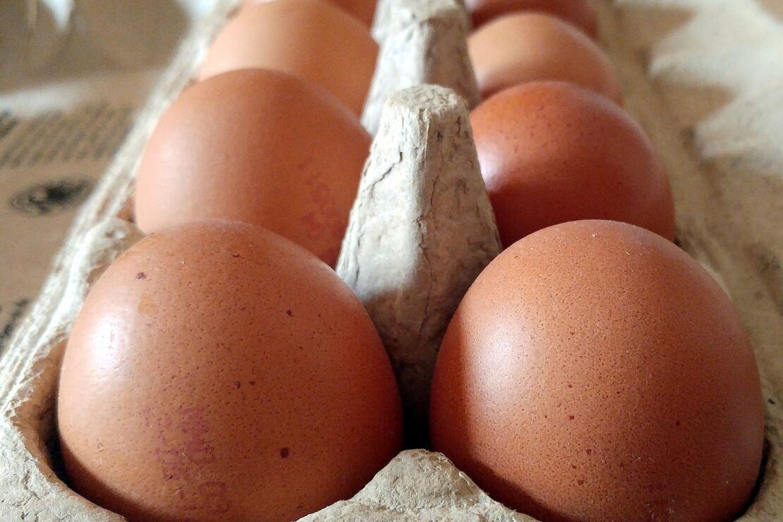 Geflügelwirtschaft sieht knappes Eier-Angebot zu Ostern