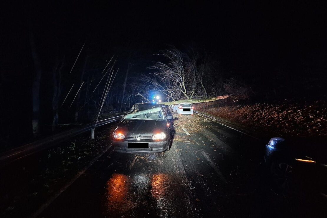 Herabstürzender Baum zerstört zwei Autos bei Holzminden