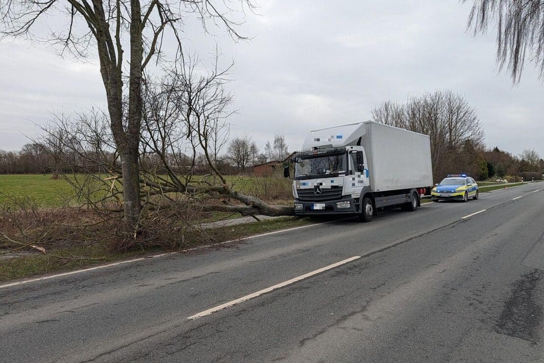 LKW-Fahrer weicht Sattelzug aus und prallt gegen Baum bei Stade