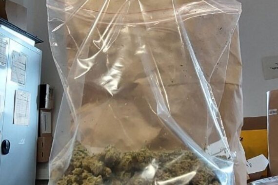 Drogenbeschlagnahmung: Haschisch, Marihuana und Mobiltelefone bei Polizeiaktion in Wuppertal entdeckt.